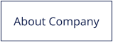 About Company